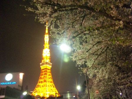 DVC00126.JPG