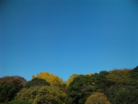 DVC00128.JPG