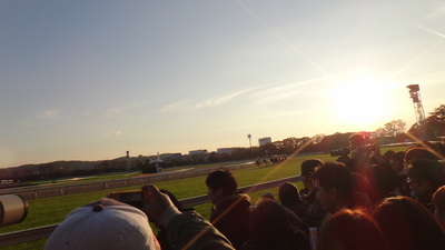DSC01429.JPG