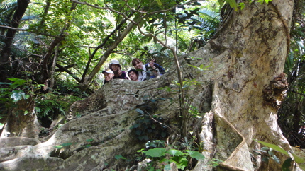 udagawa02.jpg