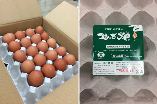 egg